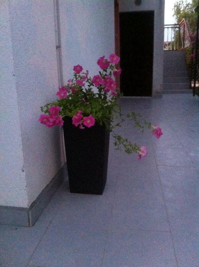 Apartmani Jadranka Vodice Eksteriør billede